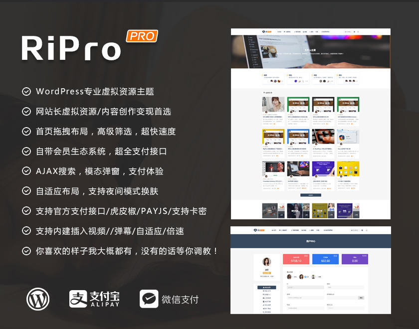 RiPro 7.0破解版