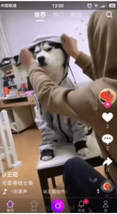 【万弘资源】直播源码_2020最新直播系统+短视频源码+教程+完整开发文档